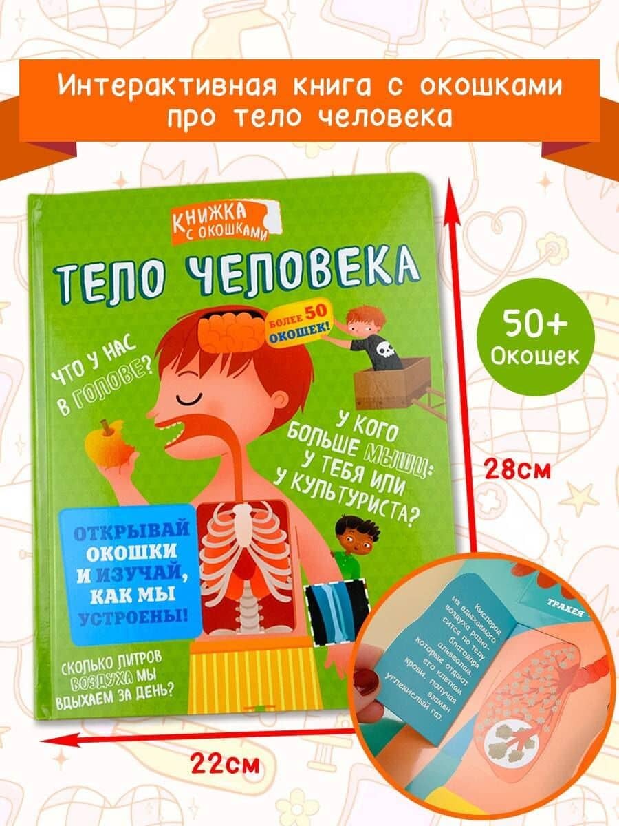 Тело человека — Mattia Fontana (3)