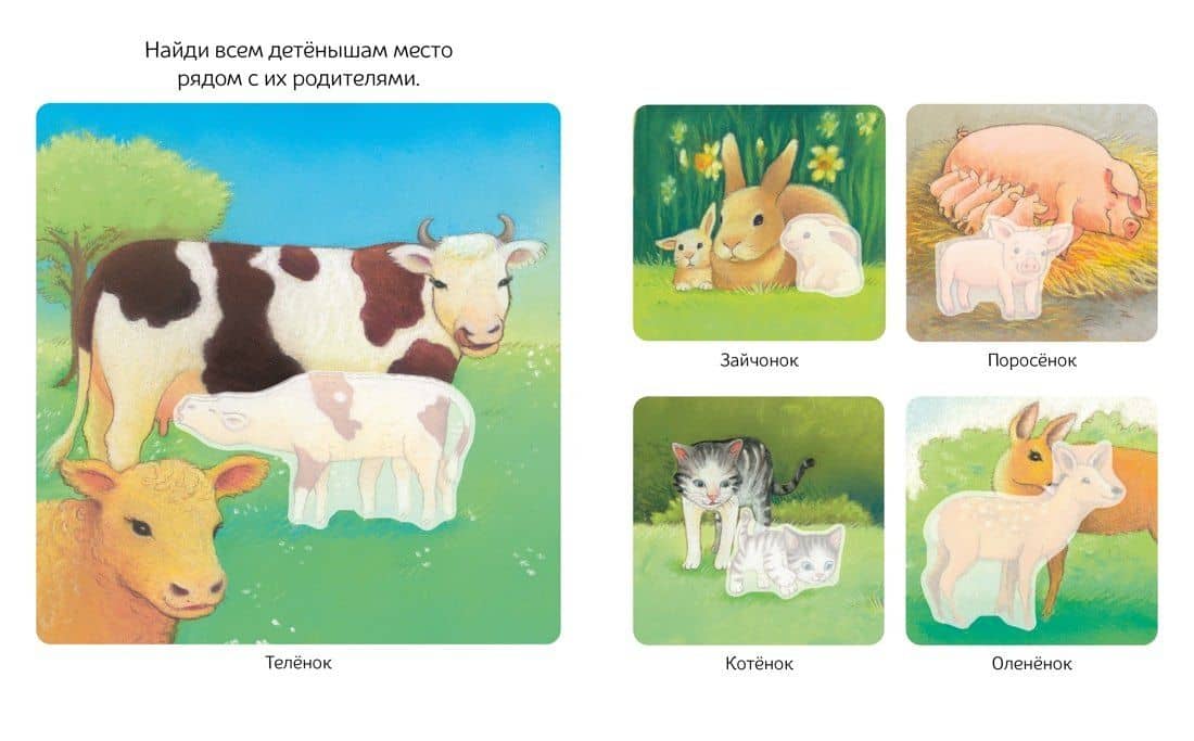 Детёныши животных (3)