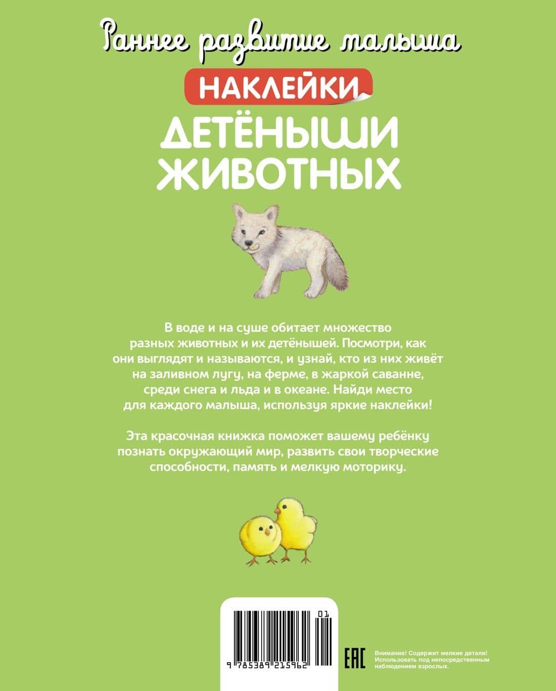 Детёныши животных (2)