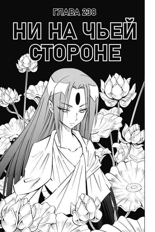 Король шаманов. Том 14 (Shaman King). Манга — Хироюки Такэи (3)