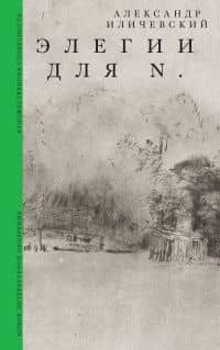 Элегии для N. — Александр Иличевский