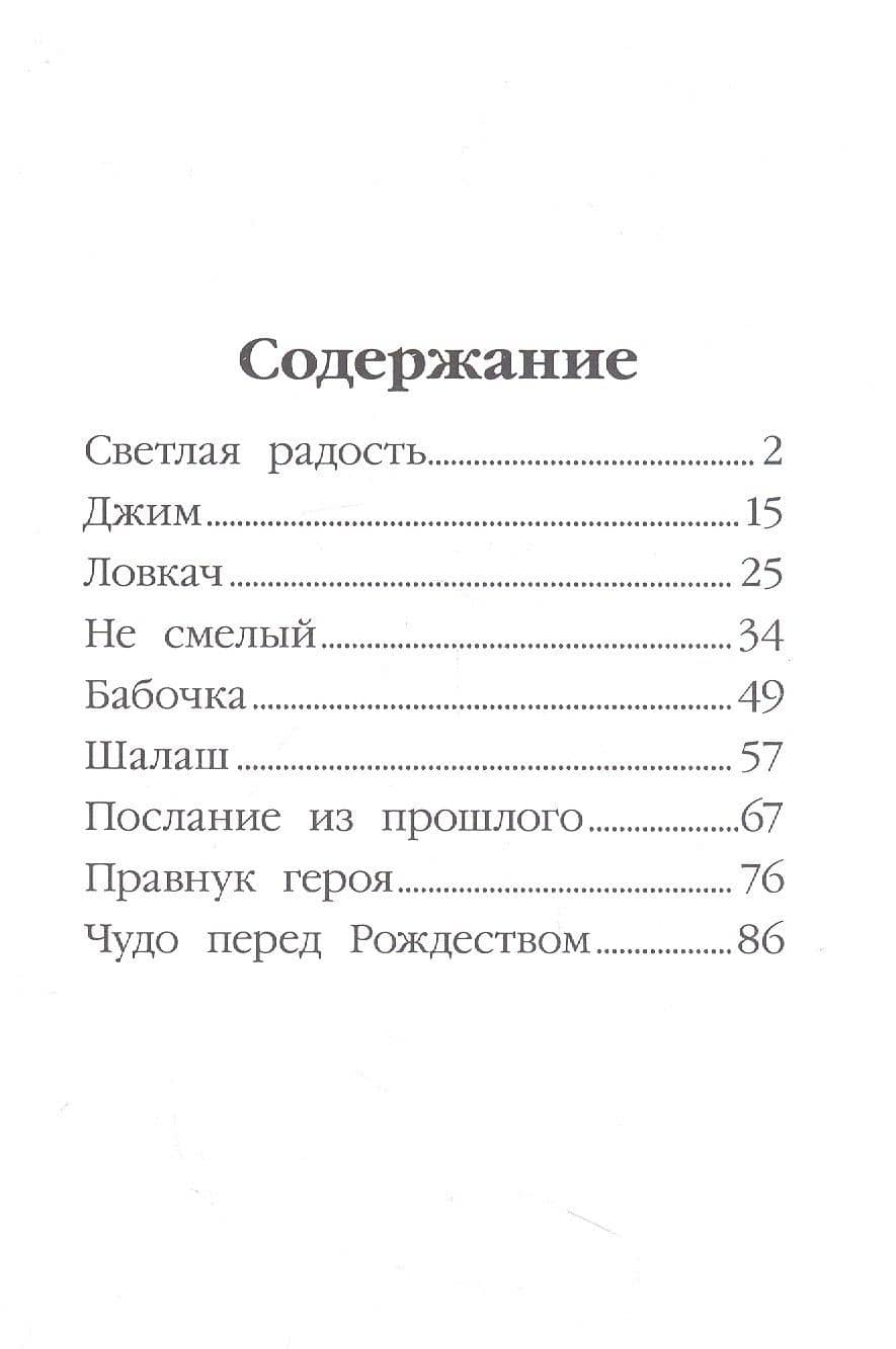 МОЯ БИБЛИОТЕКА. Школьные рассказы 96 стр — Светлана Николаевна Сорока (2)