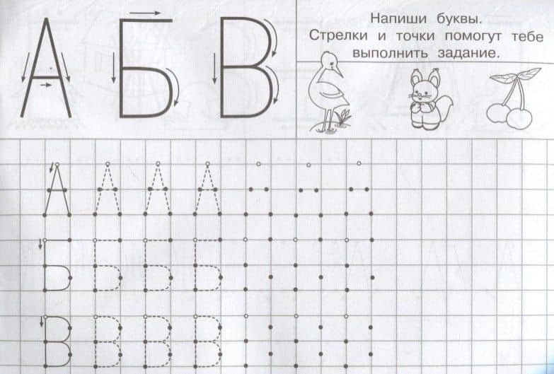 Тренажер с опорными точками (2)