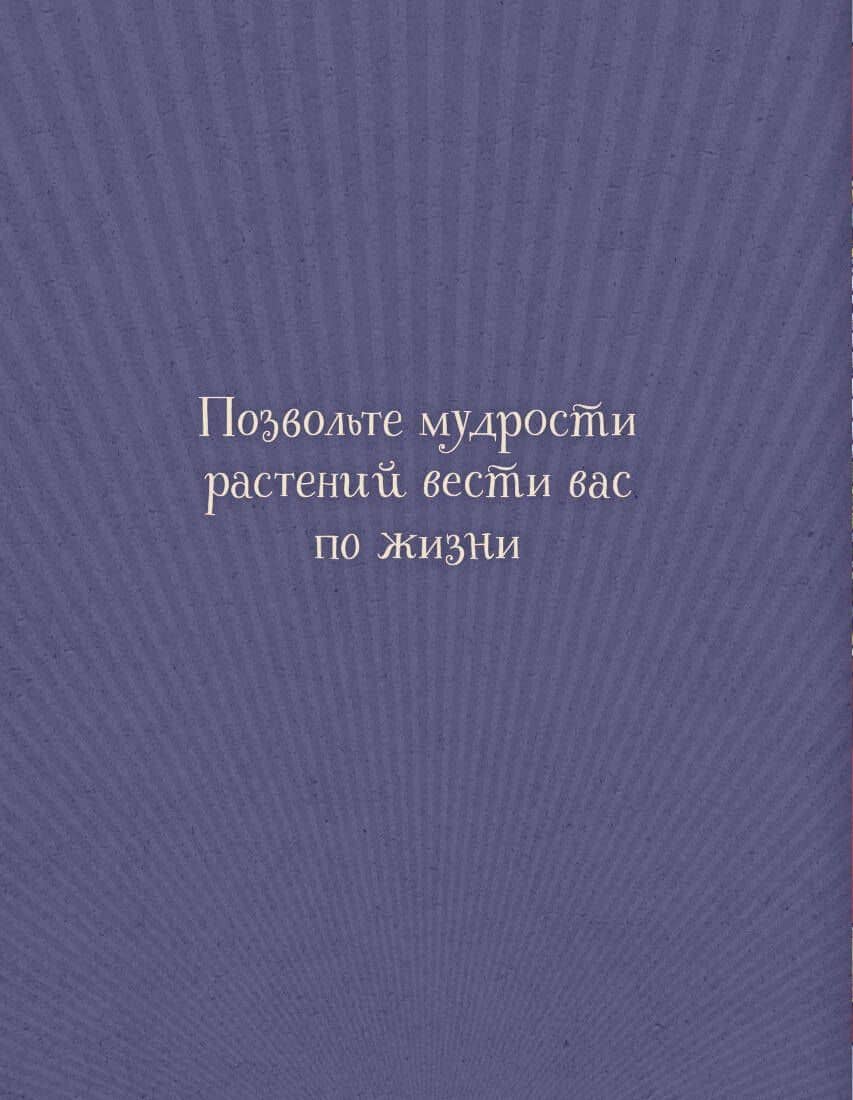 Магический гербарий. 36 карт с посланиями от волшебных растений (Оракул. 36 карт и руководство в коробке) — М. Толл (2)