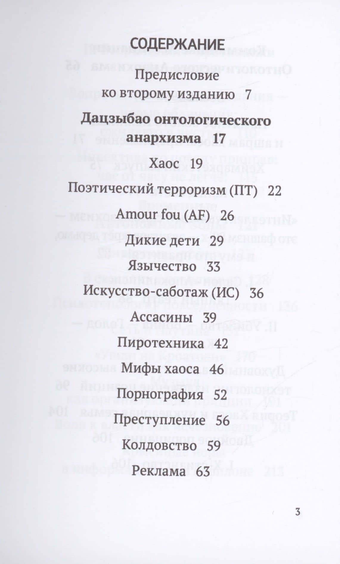 Временные Автономные Зоны — Хаким Бей (3)