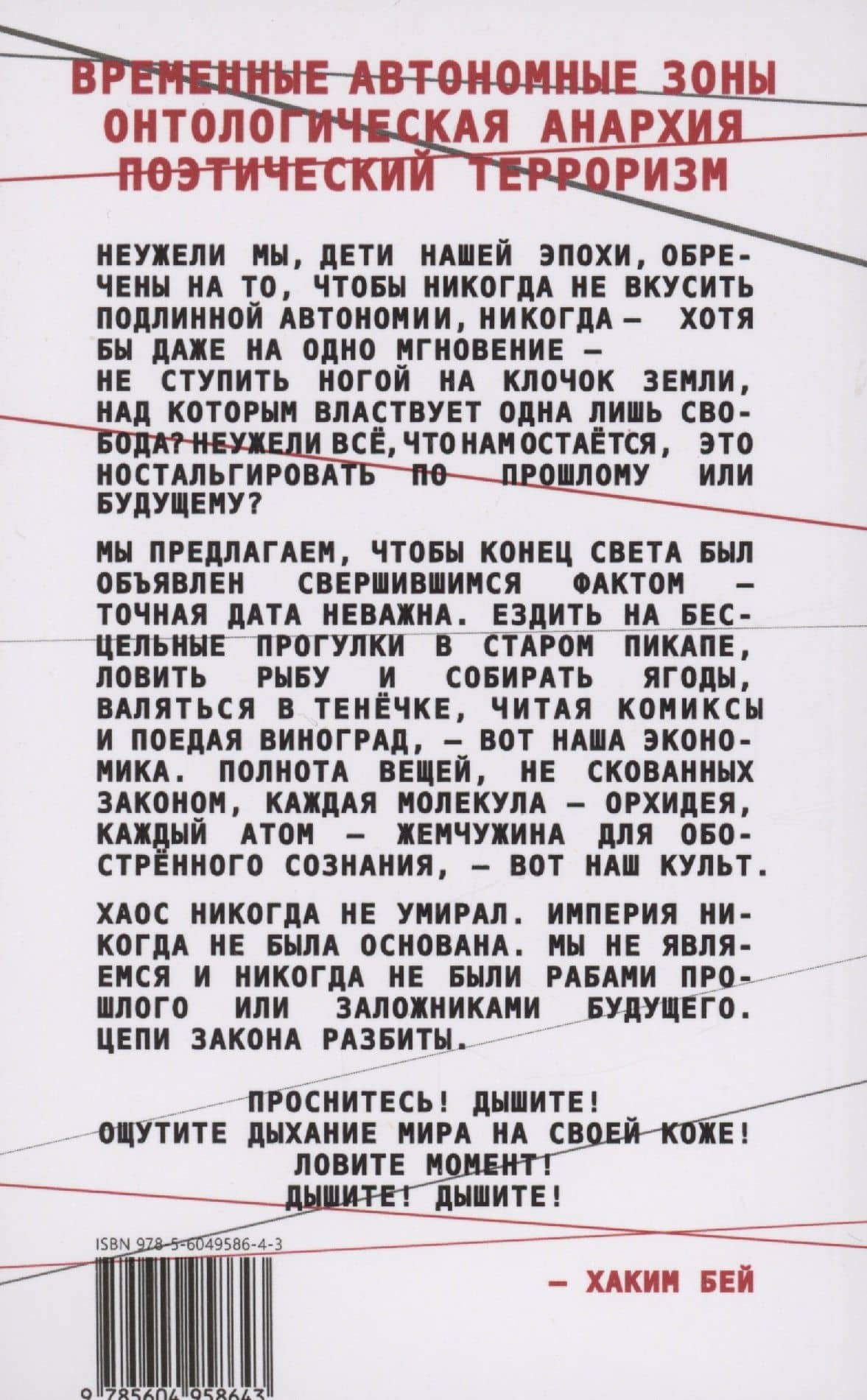 Временные Автономные Зоны — Хаким Бей (2)