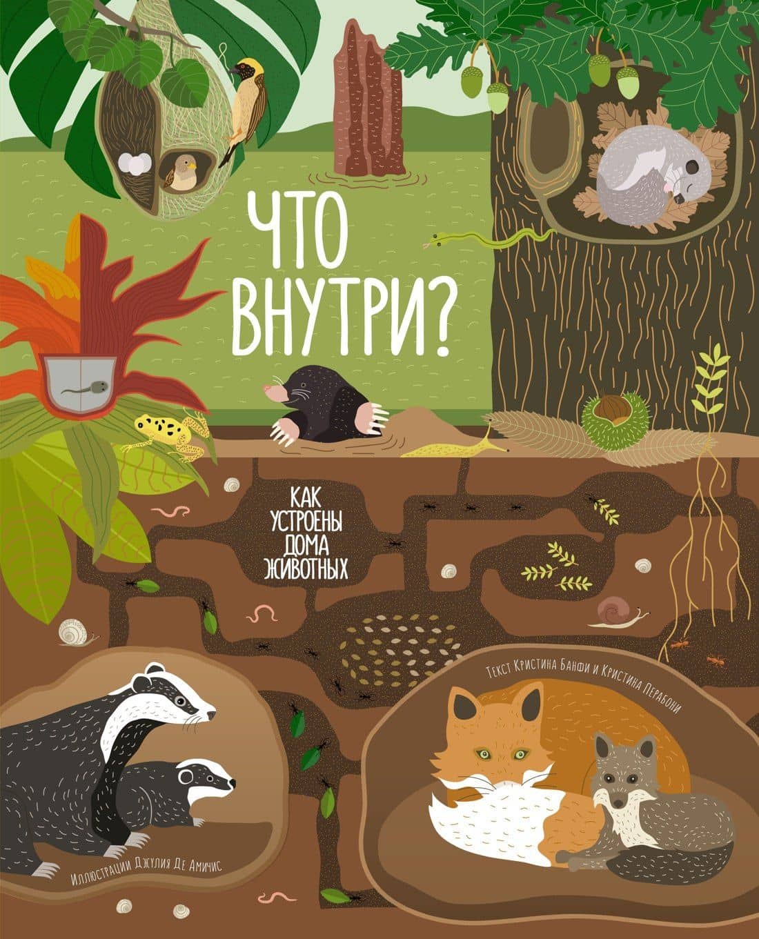 Что внутри? Как устроены дома животных — Кристина Мария Банфи