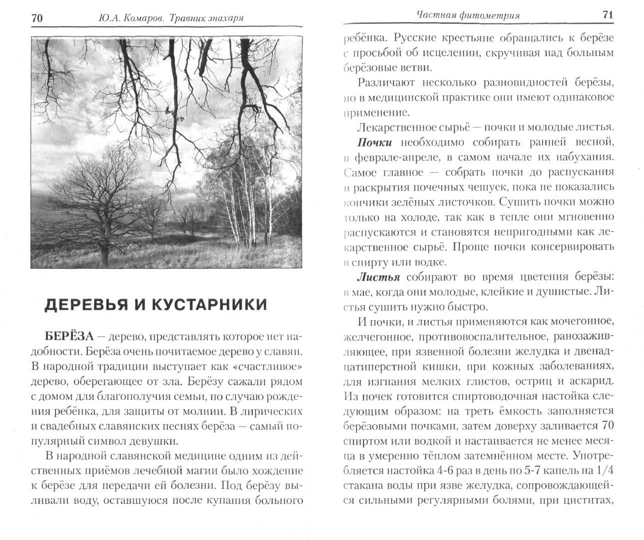 Травник знахаря. Практическая книга по траволечению — Юрий Комаров (2)
