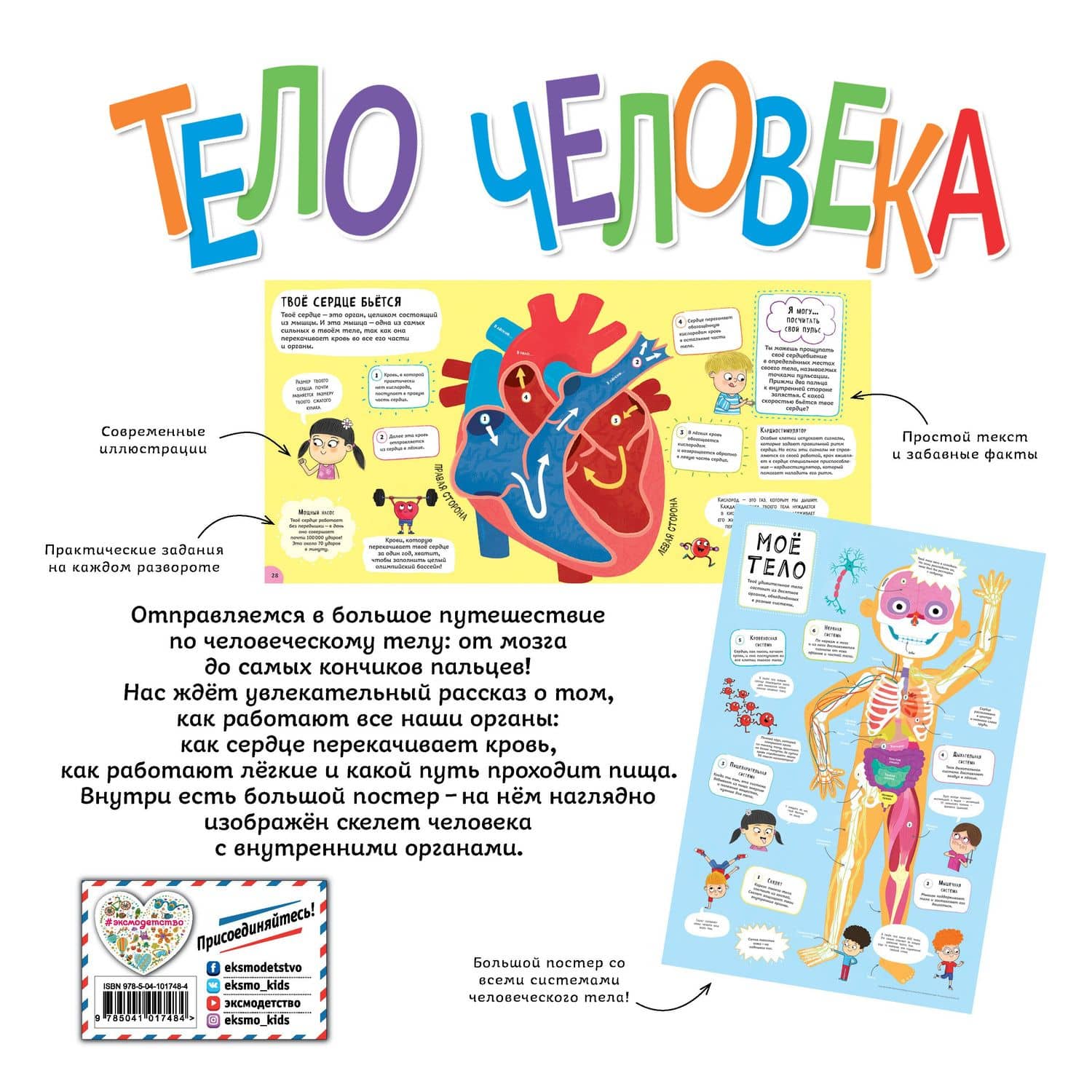 Тело человека. Моя первая энциклопедия — Клайв Гиффорд (2)
