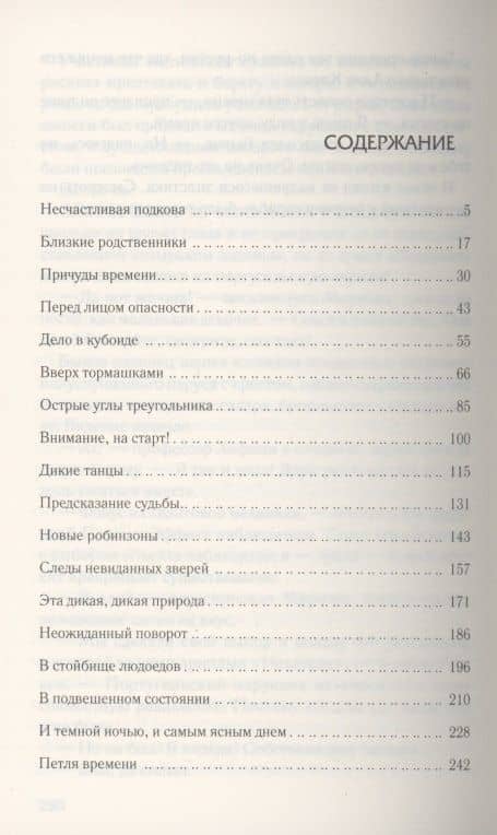Врата времени по ту сторону бездны: Роман — Михаил Шторм (2)