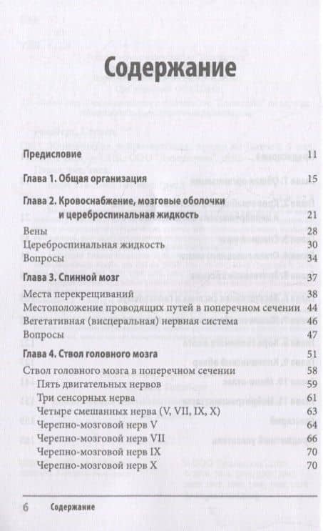 Клиническая нейроанатомия: проще не бывает — Стивен Голдберг (3)