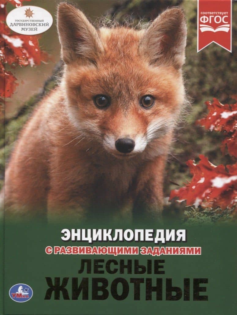 Лесные животные. Энциклопедия с развивающими заданиями