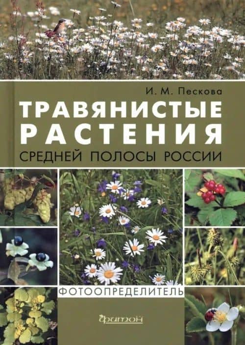 Травянистые растения средней полосы России. Фотоопределитель