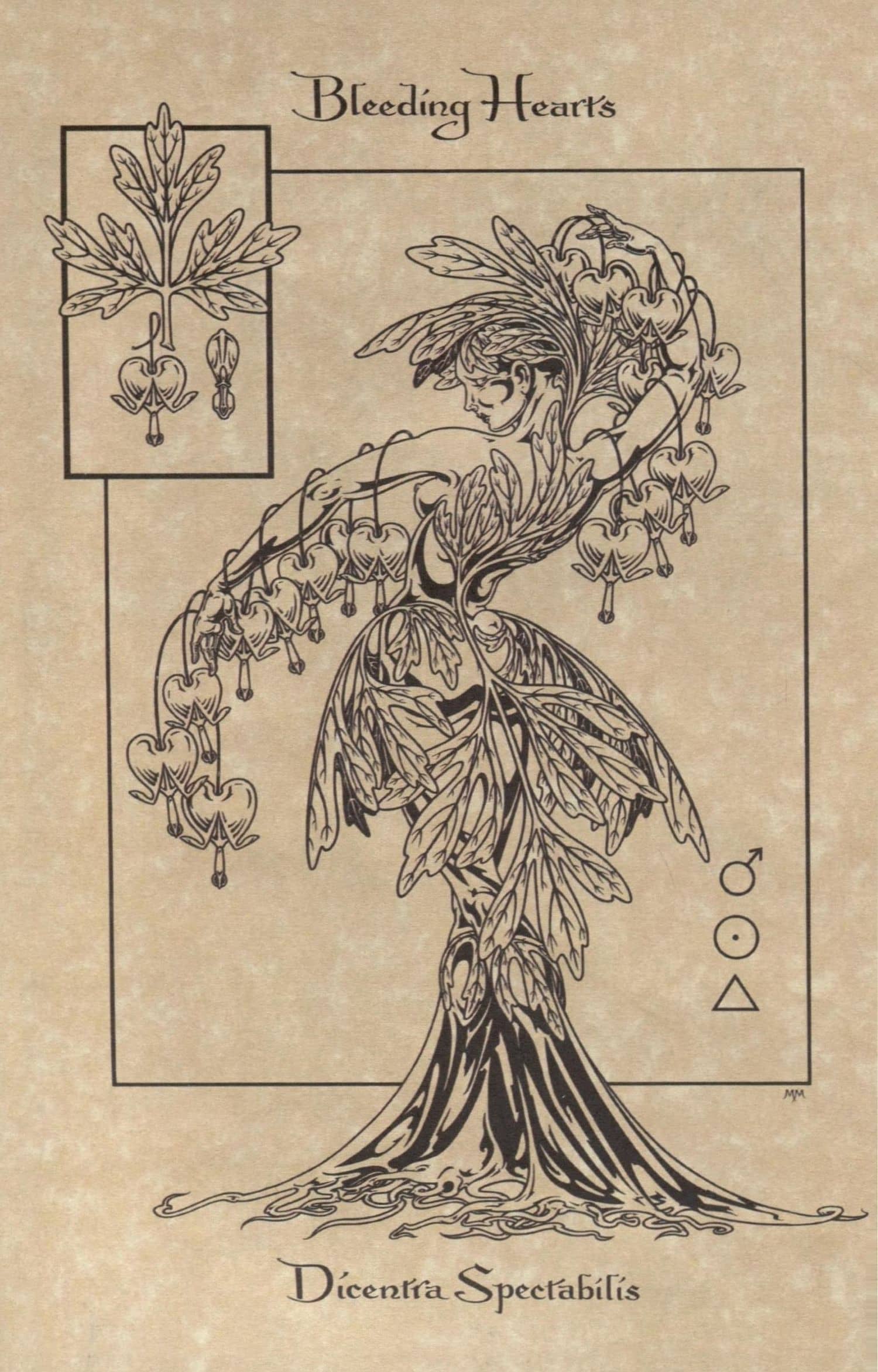 Волшебный ботанический журнал / The Magical Botanical - Journal (2)