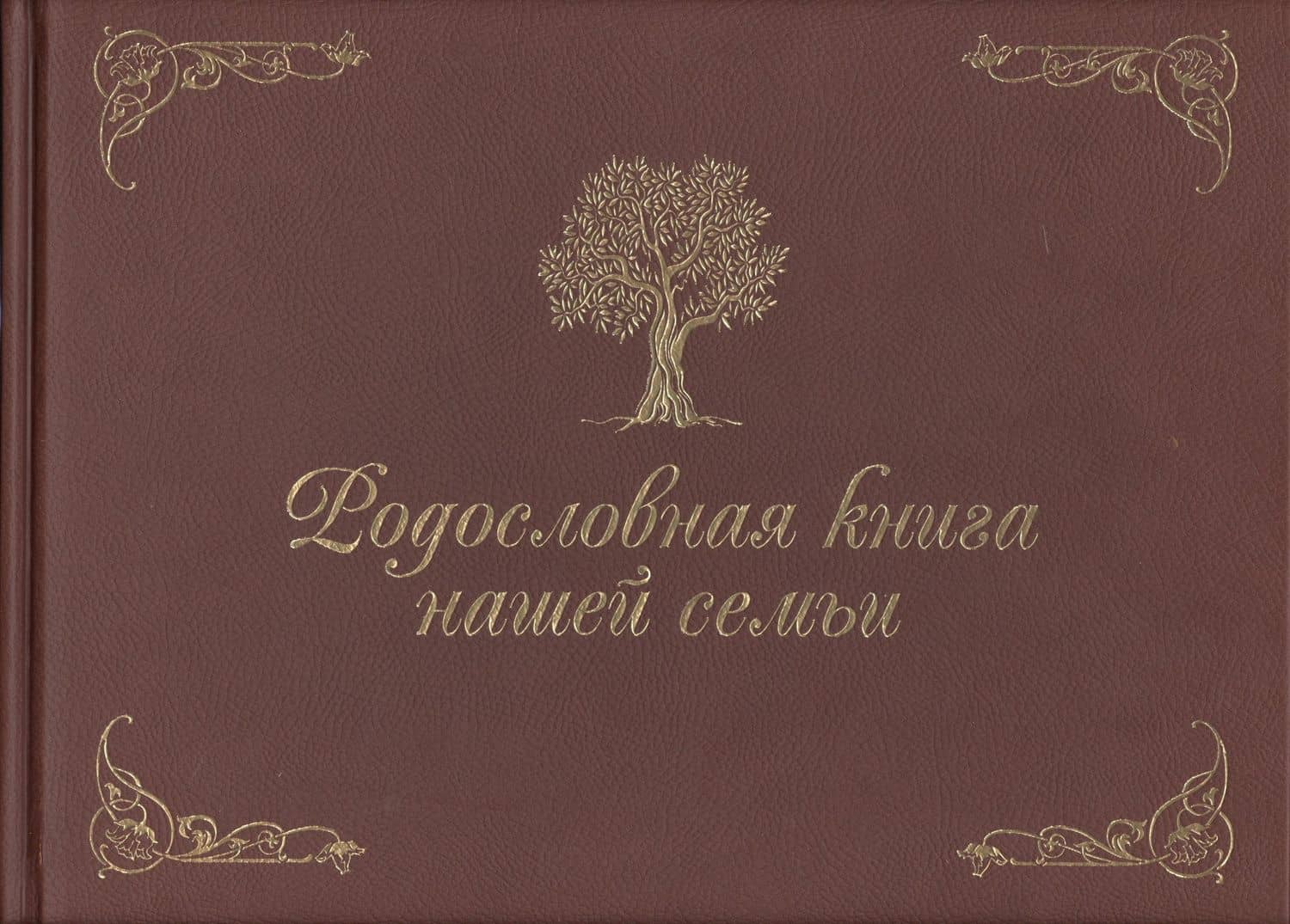 Родословная книга нашей семьи