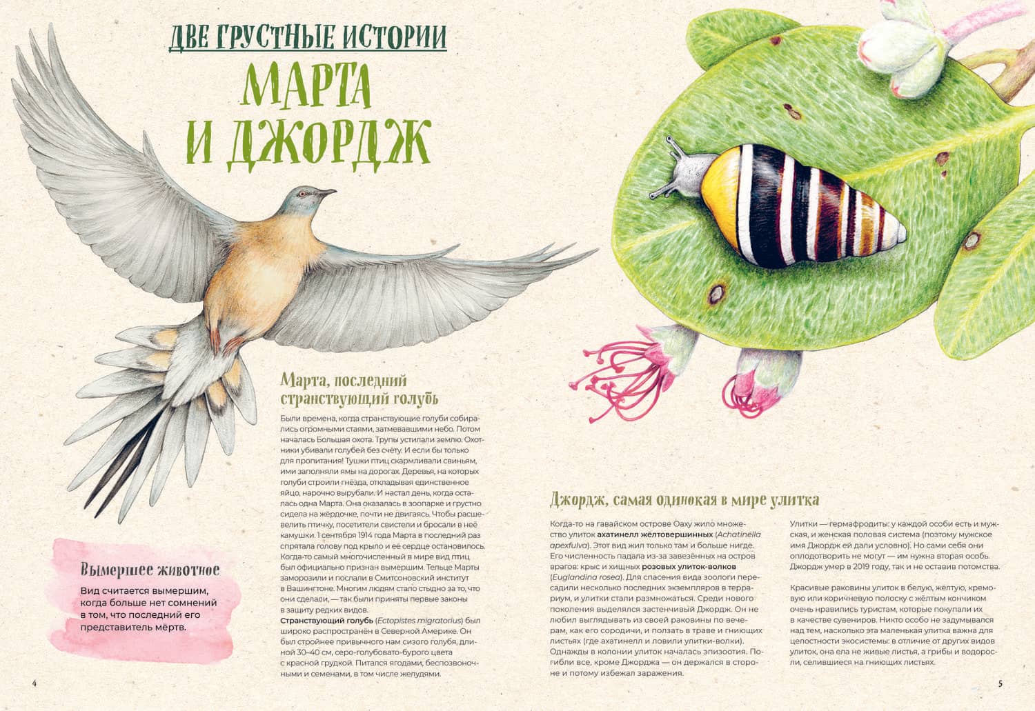 На грани исчезновения: животный мир Земли — Куарелло Серенелла (3)