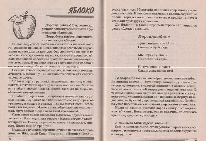 Фрукты. Какие они? Книга для воспитателей, гувернеров и родителей — Татьяна Андреевна Шорыгина (3)
