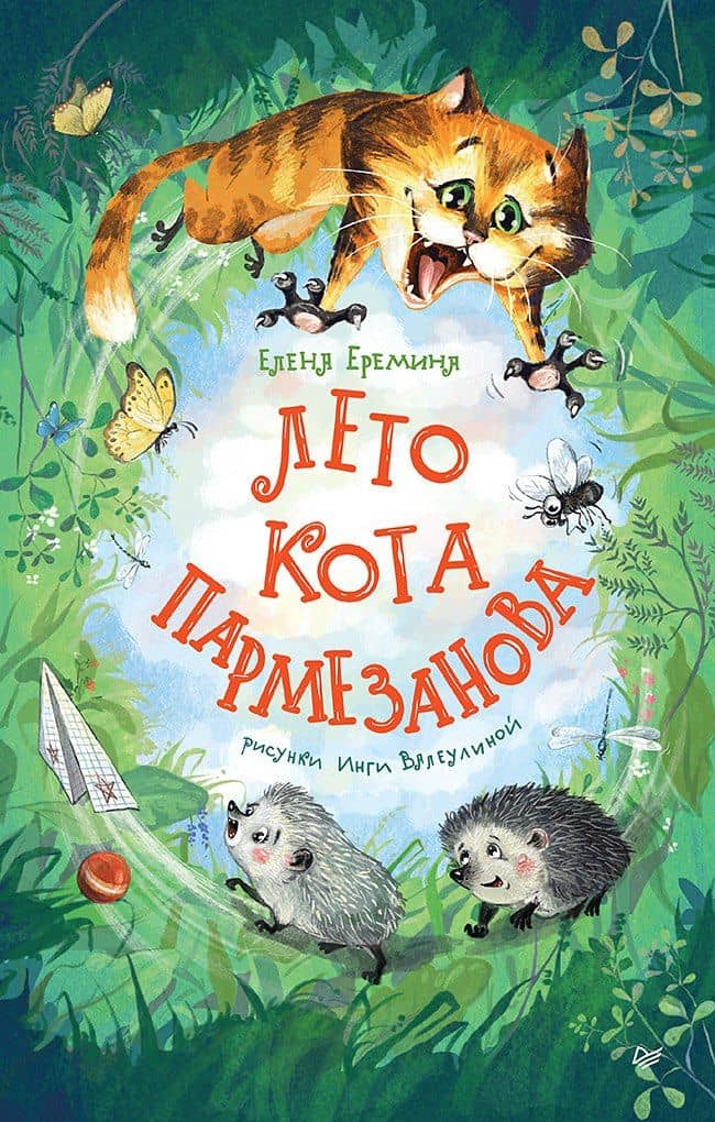 Лето кота Пармезанова — Еремина Елена Петровна