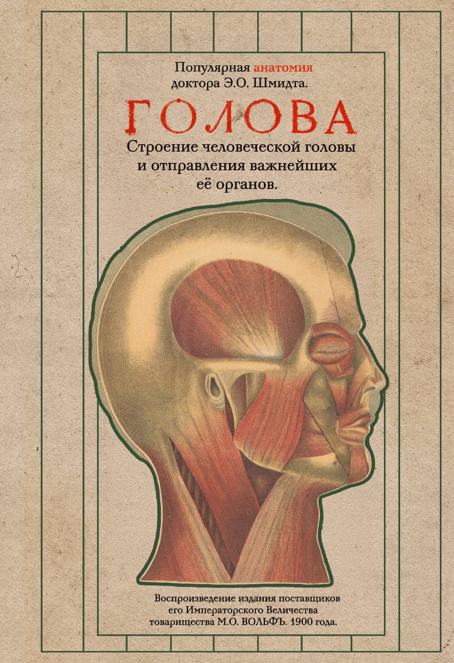 Голова. Строение человеческой головы и отправления важнейших её органов — Эдуард Оскар Шмидт