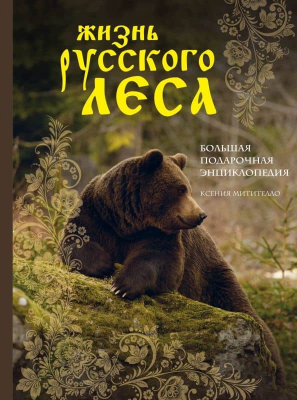 Жизнь русского леса — Ксения Борисовна Митителло