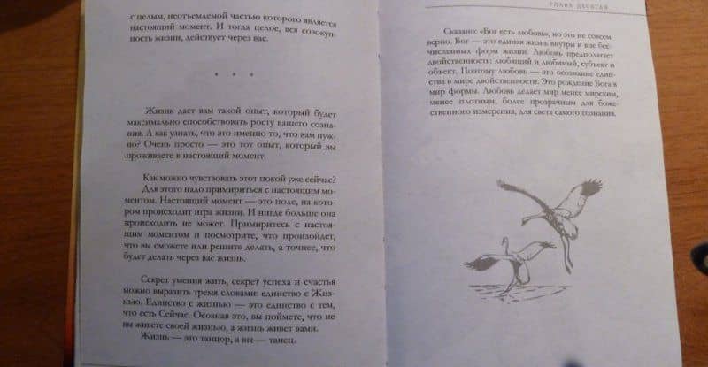 Единство со всей жизнью — Экхарт Толле (3)