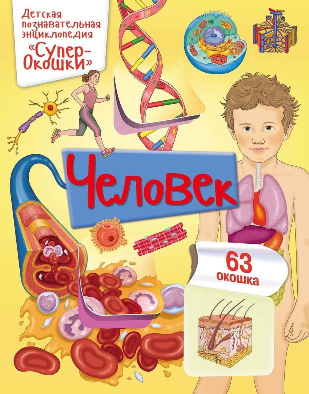 Человек — Элеонора Барсотти