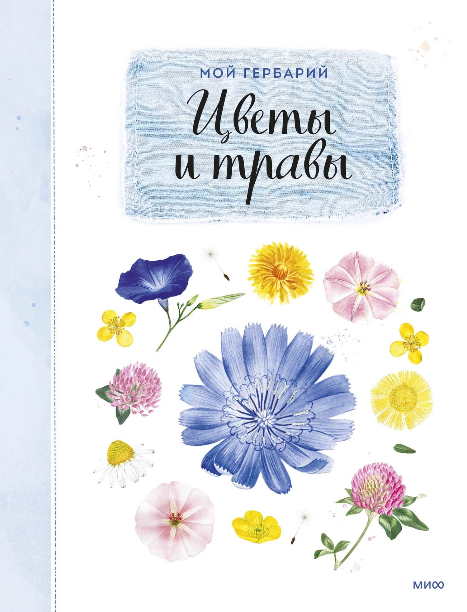 Мой гербарий. Цветы и травы(переупак) — Анна Борисовна Васильева