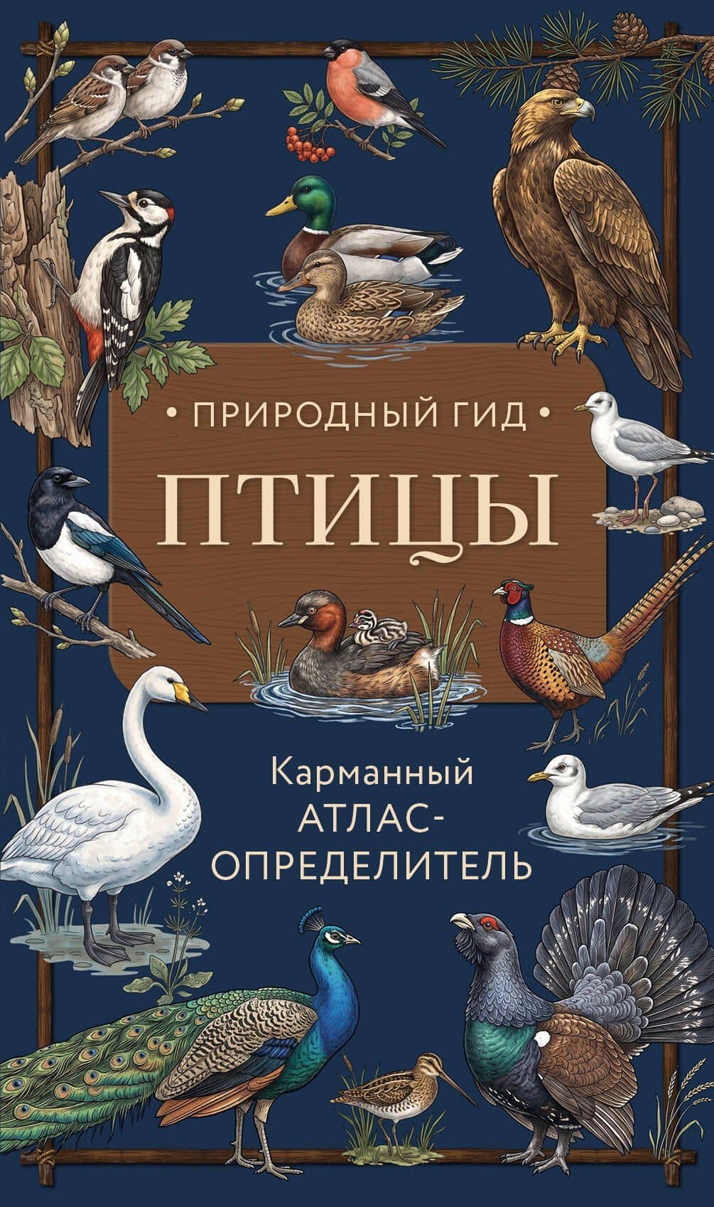 Птицы. Карманный атлас-определитель — Николай Вереницын