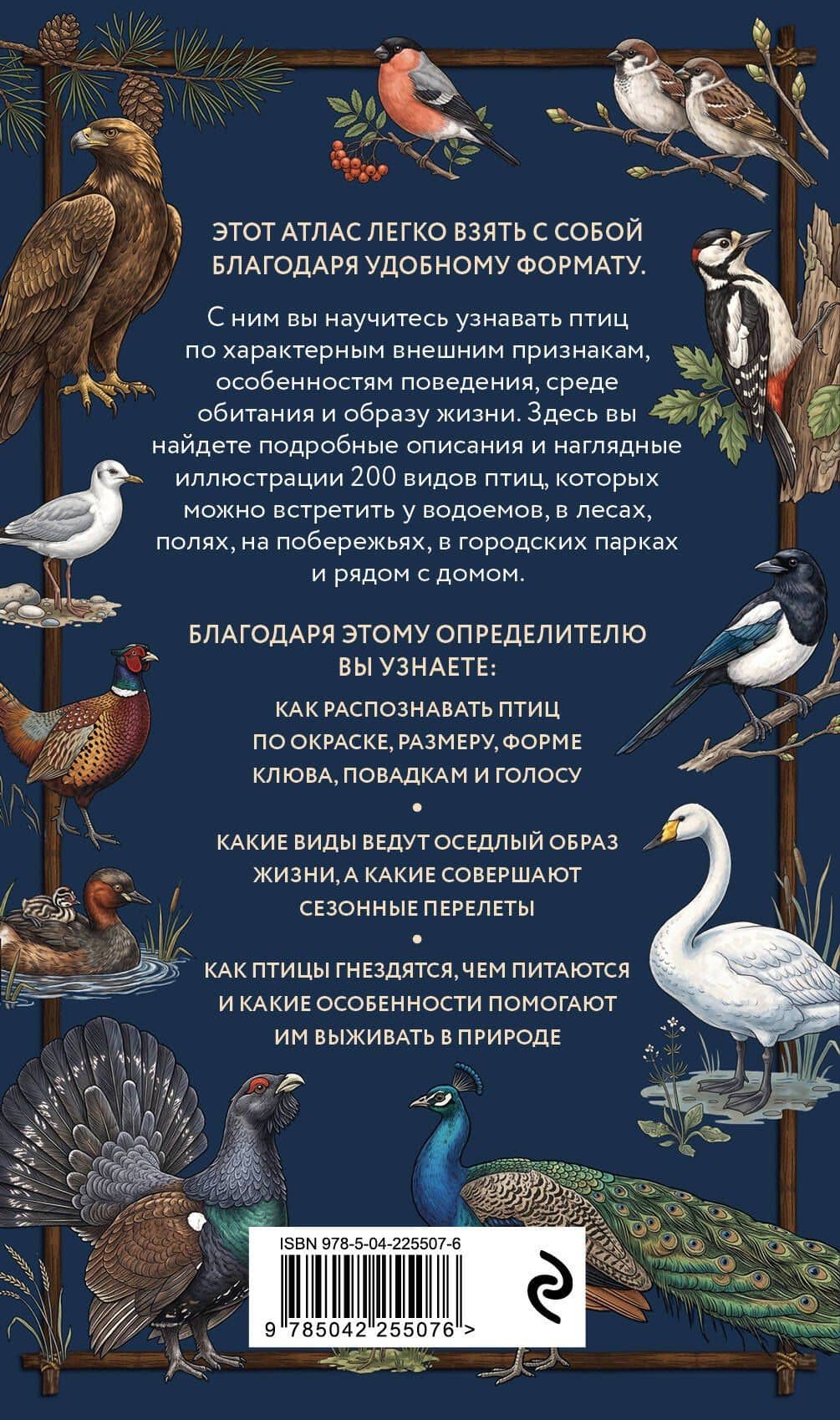 Птицы. Карманный атлас-определитель — Николай Вереницын (2)