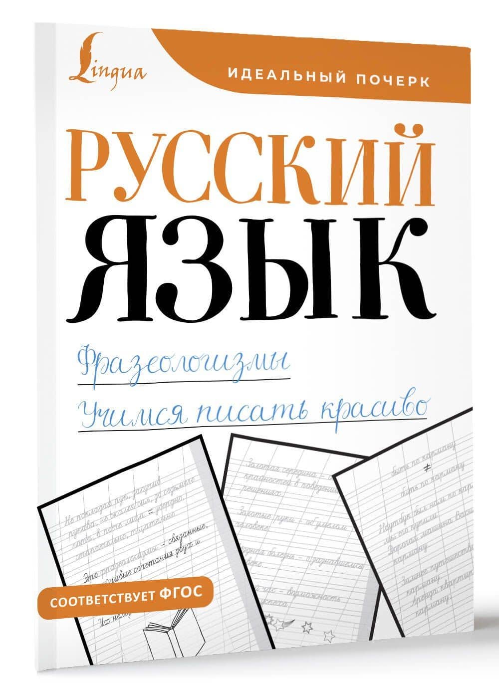 Русский язык. Фразеологизмы. Учимся писать красиво (3)