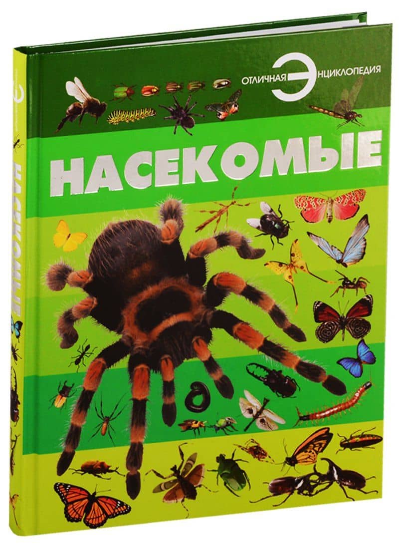 Насекомые — Анна Артуровна Спектор