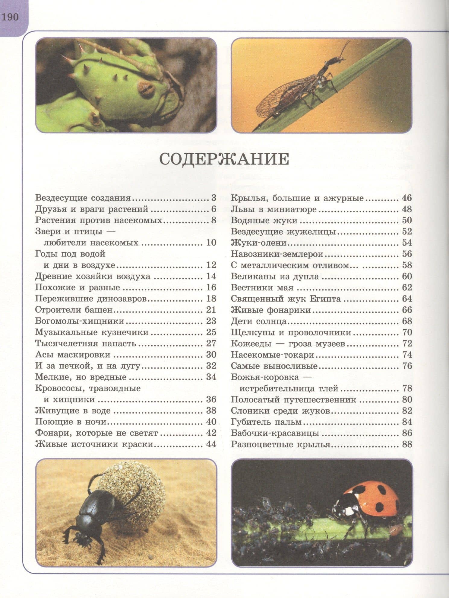 Насекомые — Анна Артуровна Спектор (2)