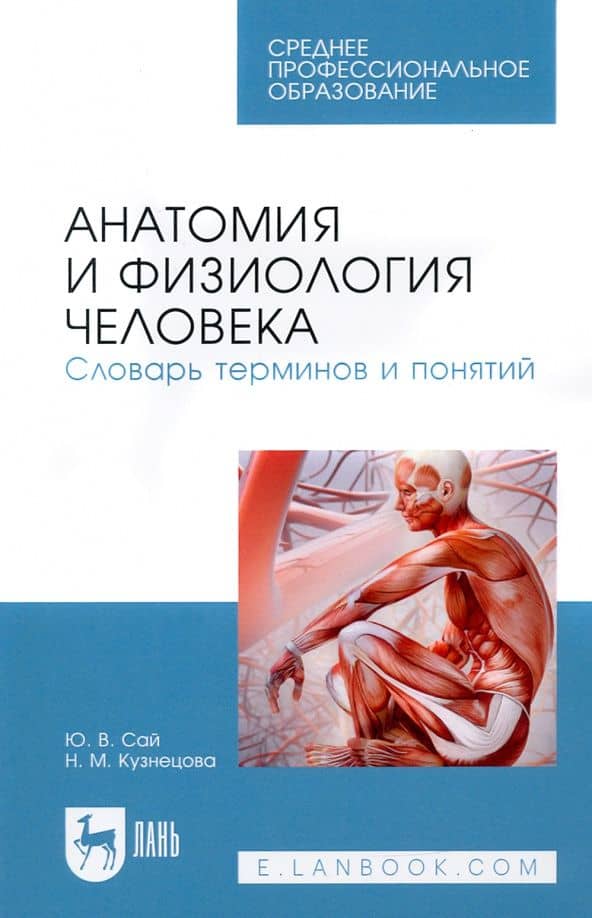 Анатомия и физиология человека. Словарь терминов и понятий. Учебное пособие — Нина Михайловна Кузнецова
