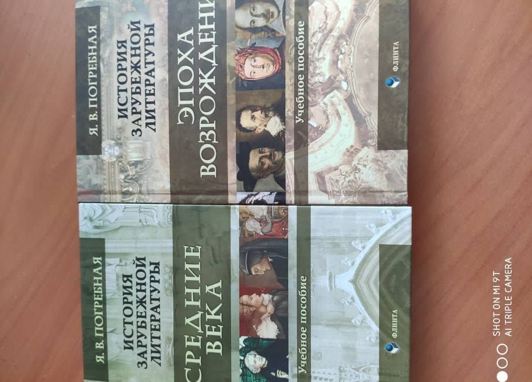 История зарубежной литературы. Средние века. Учебное пособие — Яна Всеволодовна Погребная (3)