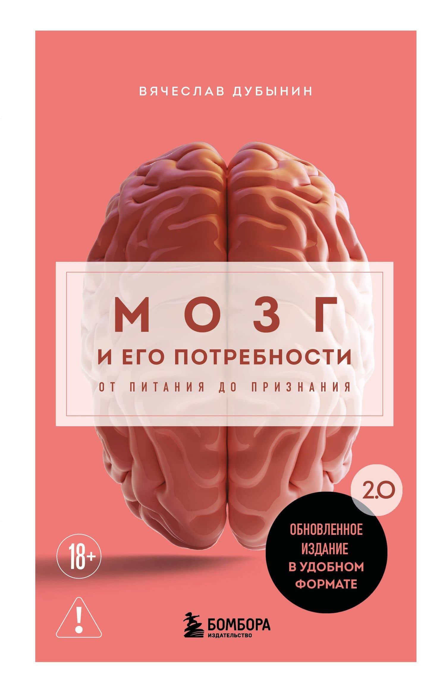 Мозг и его потребности. 2.0 от питания до признания — Вячеслав Альбертович Дубынин