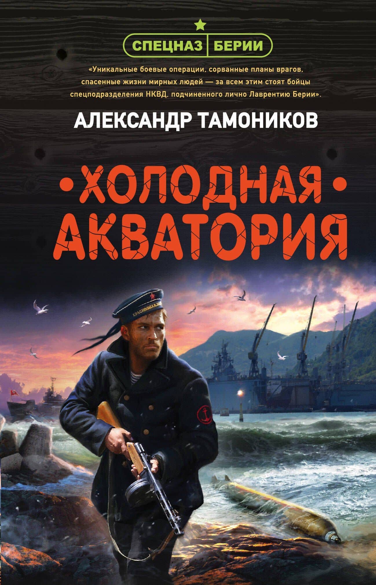 Холодная акватория — Александр Александрович Тамоников
