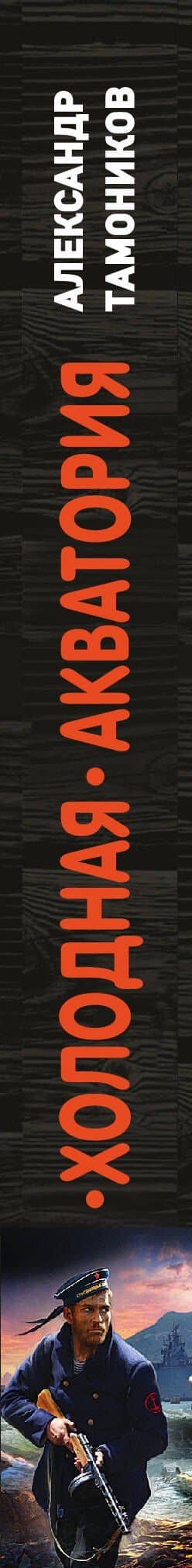 Холодная акватория — Александр Александрович Тамоников (3)