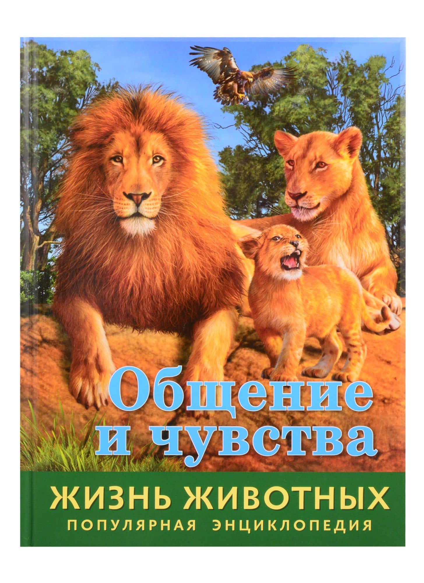 Общение и чувства — Илона Баголи