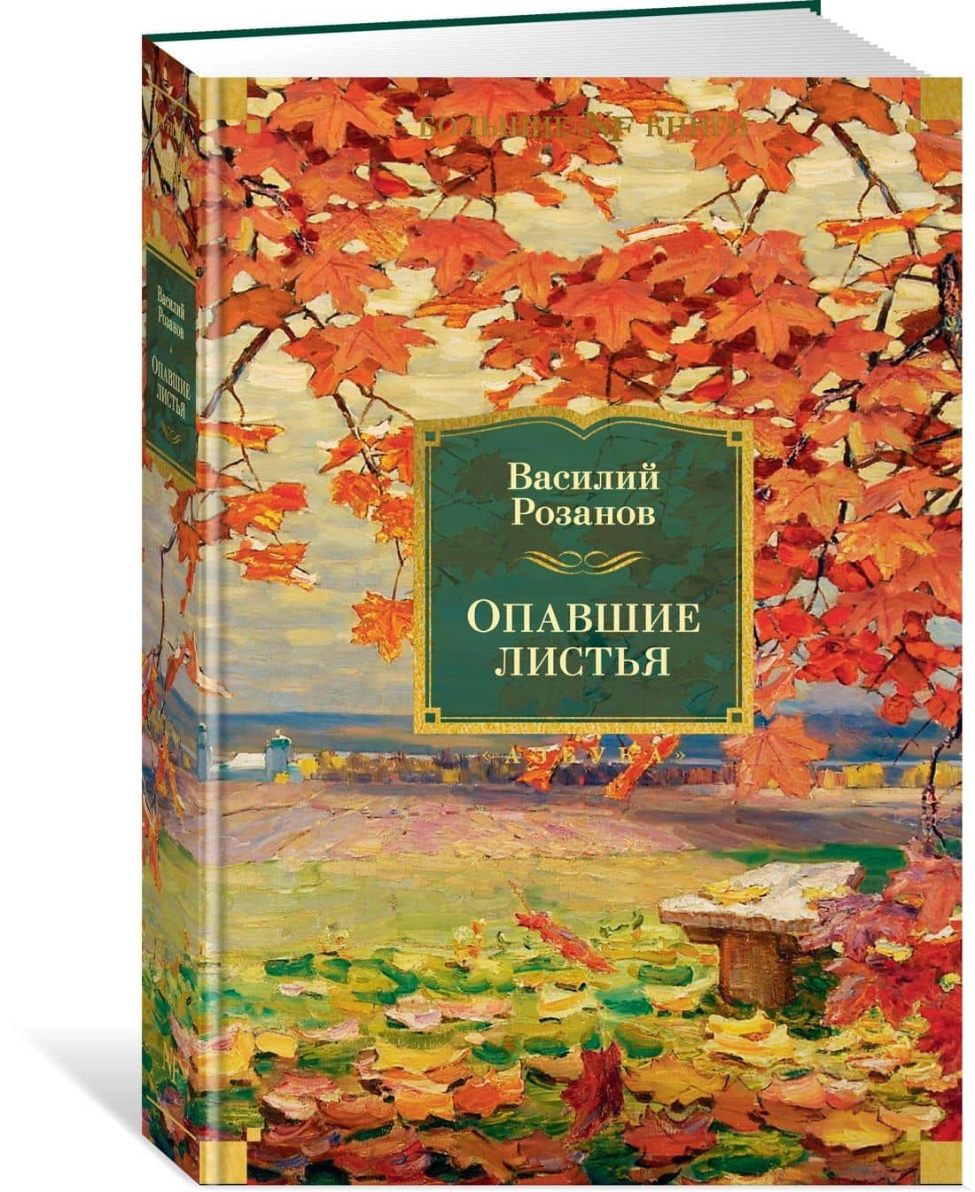 Опавшие листья — Василий Васильевич Розанов (3)