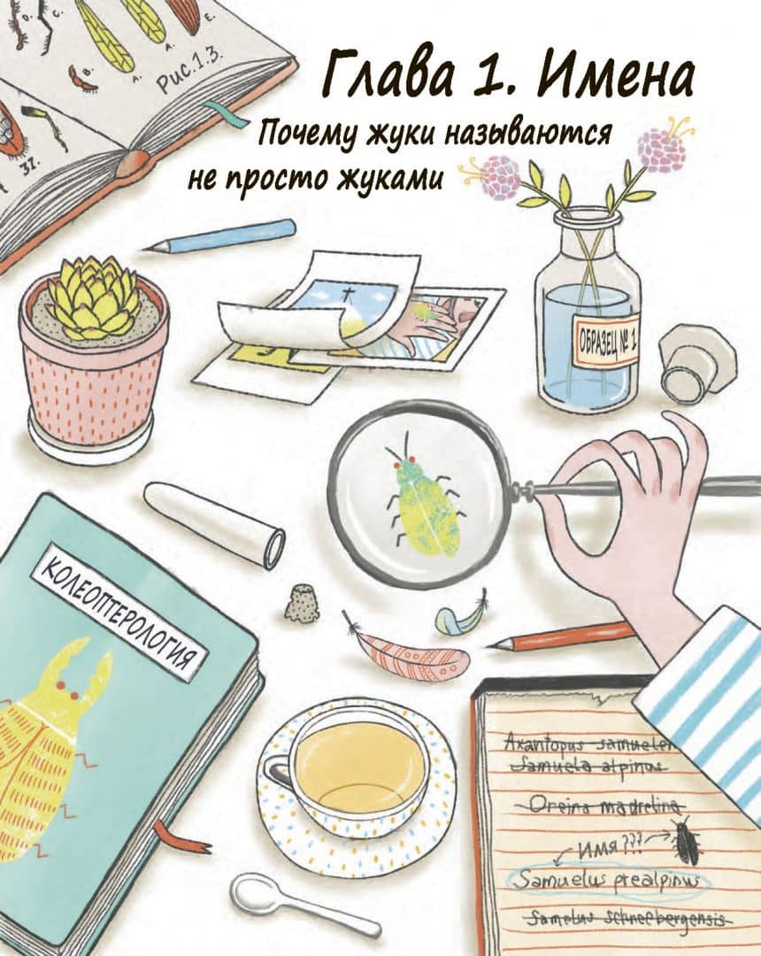 Сэм и эволюция. Краткая история эволюционной биологии — Андреа Грилль (3)