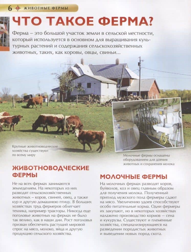 Животные фермы. Детская энциклопедия (новая обл.) — Ирина Владимировна Травина (2)