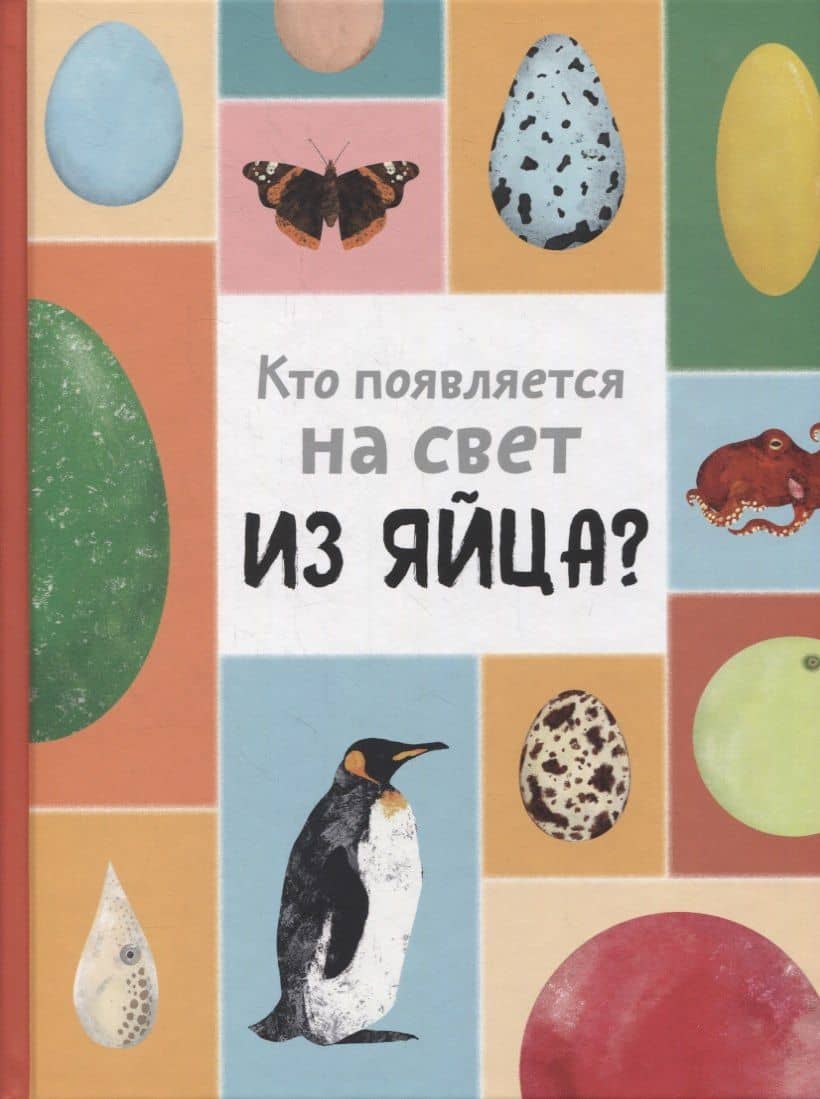 Кто появляется на свет из яйца? — Бланка Седлакова