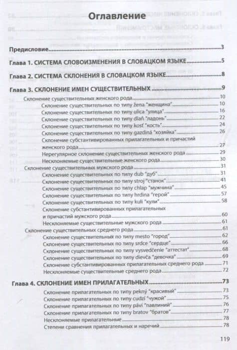 Словоизменение в словацком литературном языке. Монография — Константин Васильевич Лифанов (2)