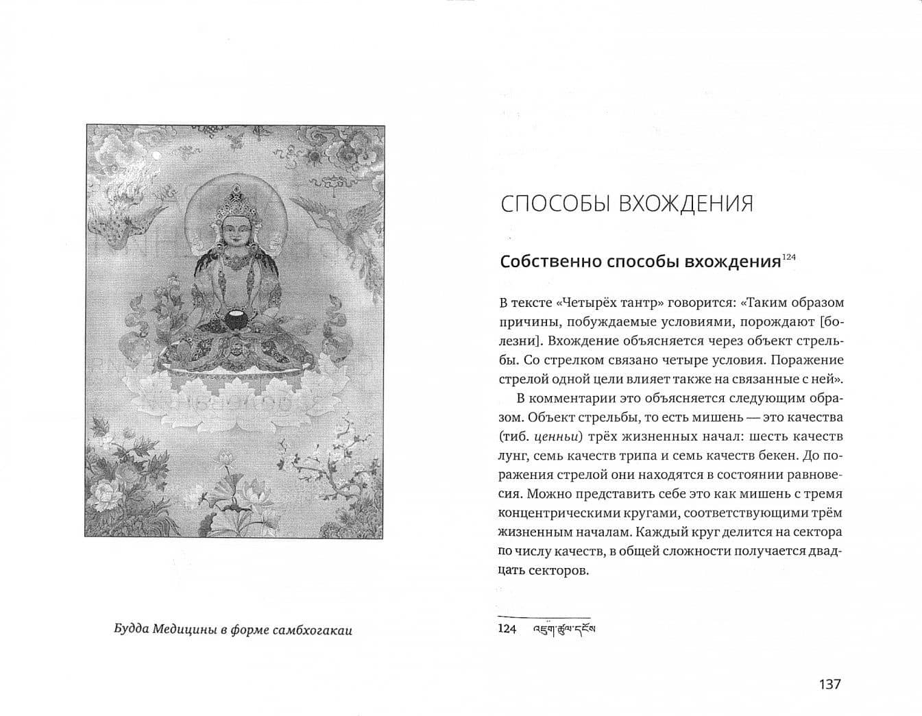 Тибетская медицина. Основы исцеления — Нида Ченагцанг (2)