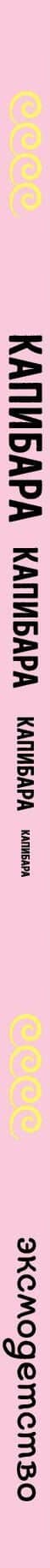 КАПИБАРА. Капибара. Капибара — А. А. Копылова (3)