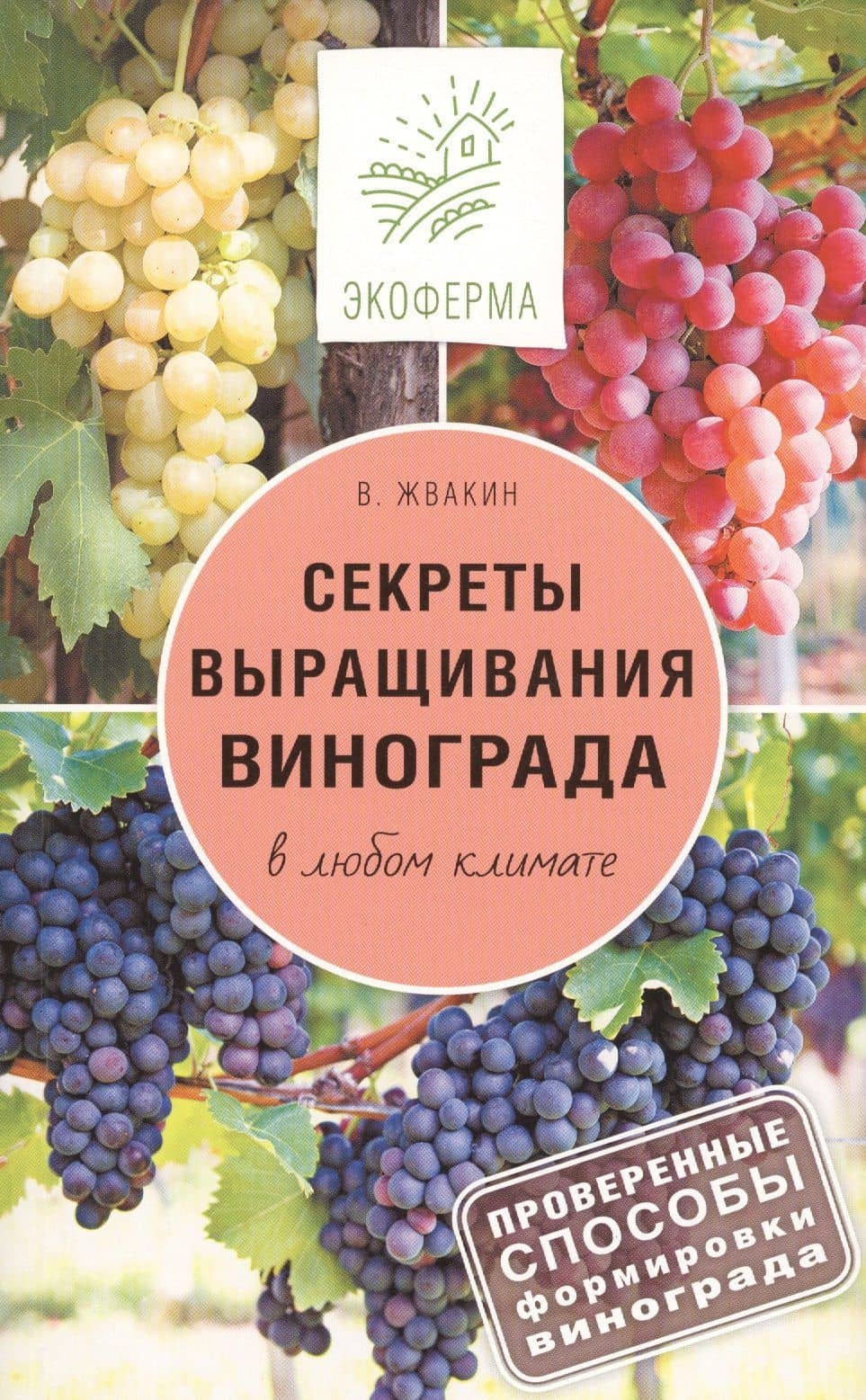 Секреты выращивания винограда в любом климате
