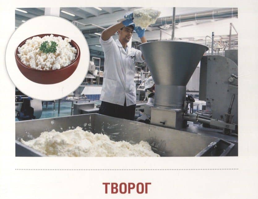 Молоко и молочные продукты. 16 демонстрационных картинок с тексом на обороте — Татьяна Владиславовна Цветкова (2)