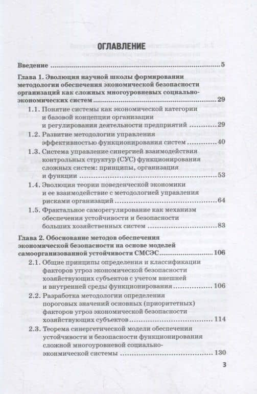 Методология совершенствования системы экон.безоп.орг. на основе риск-ориент. подхода. Монография — Иван Александрович Лебедев (2)