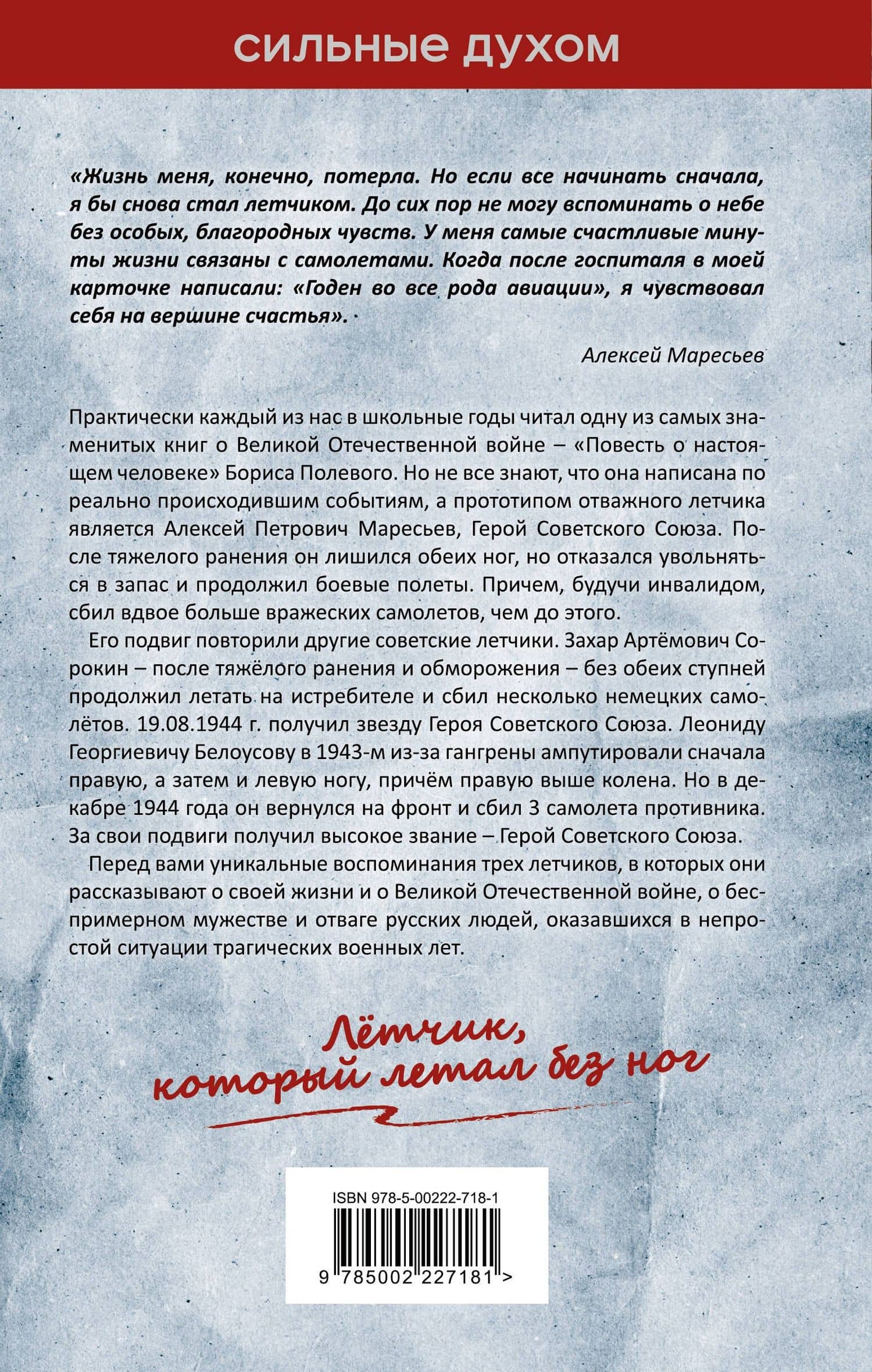 В небе над Курском. Реальный герой "Повести о настоящем человеке" — Василь Владимирович Быков (2)