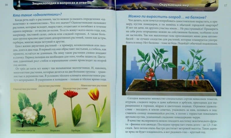 Хочу знать. В вопросах и ответах — Оксана Борисовна Балуева (2)